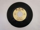 RIVER CITY FUNK BAND FELL INTO A BAG 45 RARE KENTUCKY FUNK RDM 988 Soul Train EX