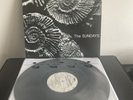 THE SUNDAYS Reading Writing & Arithmetic VG++ VINYL RARE