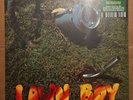Lawn Boy (Olfactory Hues Version) by Phish (Record, 2021)