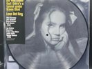 Lana Del Rey | Did You Know Tunnel Under Ocean Boulevard Picture DISC Vinyl LP