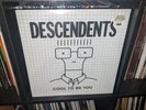 Descendents - COOL TO BE YOU - Vinyl LP - NEW & SEALED