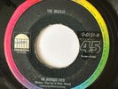 THE BEATLES - Baby, You're a Rich Man / All You Need Is Love - RARE MEXICO 45