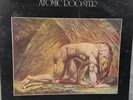 Atomic Rooster Death Walks Behind You 12 Inch Vinyl Record LP 1970 UK LP B&C VG