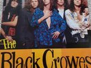 The Black Crowes Rare Promo Vinyl