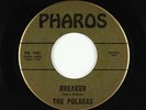 Surf Inst. 45 - Polaras - Breaker/Cricket - Pharos - VG++ mp3