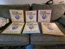 The Purple Puzzle Tree Complete 6 Record Set and Books