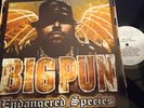 BIG PUN  