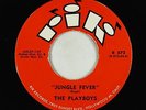 Rockabilly Inst. 45 - Playboys - Jungle Fever - Rik - VG+ mp3 - Scott Walker
