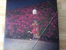 Feist - Pleasure Vinyl LP