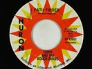 Surf Inst. 45 - Teddy & The Rough Riders - Path Finder - Huron - mp3