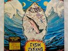 STEVE HILLAGE Fish Rising Original Promo Vinyl Record Album LP W Inner Sleeve NM