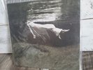 Bill Evans / Jim Hall Undercurrent 2014 MFSL MoFi - Sealed New - Vinyl LP Jazz
