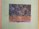 Dif Juz Extractions 1985 Vinyl LP Elizabeth Fraser 4AD NearMint Robin Guthrie