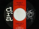 Surf Inst. 45 - Surfer's - Widgit - Ara - mp3