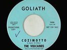 Surf Inst. 45 - Vulcaines - Cozimotto - Goliath - VG+ mp3