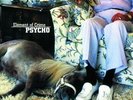 Psycho [Vinyl LP] Element, of Crime