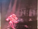 ENTER SHIKARI - PINK SPARKLE VINYL LP - A Kiss for the Whole World (2023)
