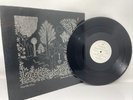 DEAD CAN DANCE – Garden Of The Arcane Delights Vinyl 12