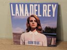 Lana Del Rey – Born to Die LP vinyl record 12