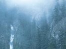 Wolves in the Throne Room - Diadem Of 12 Stars [New Vinyl LP]