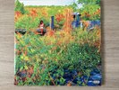Jhene Aiko ‘Trip’ vinyl