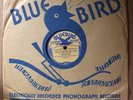 Tampa Red BLUEBIRD 6681 V 