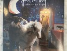 Fall Out Boy Infinity on High Exclusive Blue Glitter Limited Edition Vinyl 2XLP
