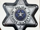 The Police 