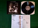 Generic/ Electro Hippies-split LP rare UK hardcore crust punk Flat Earth