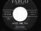 AQUATONES 45RPM '58 FARGO CRAZY FOR YOU KILLER DOO WOP BALLAD M- VINYL