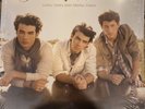 NEW Jonas Brothers Lines Vines and Trying Times Vinyl LP Record OSS-JB-010(12)