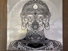 Mickey Hart Vinyl