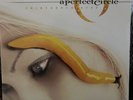 Thirteenth Step by A Perfect Circle LP