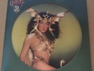 CHER “TAKE ME HOME” PICTURE RECORD 1979