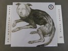SEALED THEE OH SEES PUTRIFIERS II EP COLORED VINYL LP IN THE RED ITR-235