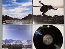 Eddie Vedder - Into The Wild Schallplatte Soundtrack 180g Vinyl LP