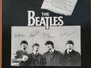 Beatles Singles Collection Vinyl  (7 colored)