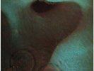 Pink Floyd Meddle Harvest Vinyl LP