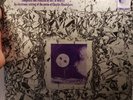Rare / Obscure Ruth White Flowers Of Evil LS-86066 Vinyl LP Baudelaire Mercury