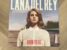 Lana Del Rey Born To Die Album Vinyl