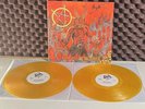 Slayer  Satan Listens To Slayer Orange DLP Lim150 FFO Metallica Megadeth Exodus