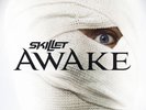 Skillet Awake Vinyl LP 2015 EX