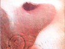 Rock LP - PINK FLOYD - MEDDLE - Harvest UK 1974 (1971) - EX(+)