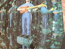 Richard Thompson - Mirror Blue [ Capitol EST2207 sleeve Ex-/Ex] LP