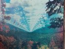 Innerspeaker - Tame Impala - Vinyl Record (Opened, Excellent)