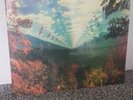 Tame Impala - Innerspeaker. Double Vinyl LP. Sealed. Gatefold
