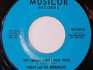 Porgy And The Monarchs My Heart Cries For You Musicor Demo Northern Soul Oldie