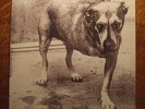 Alice In Chains THREE LEGGED DOG original vinyl double album 1995 Columbia