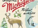 Sufjan Stevens Michigan (Vinyl) 12