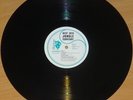 Deep Into Jungle Territory - LP Vinyl Record Bhangra Punjabi Indian Folk, Premi